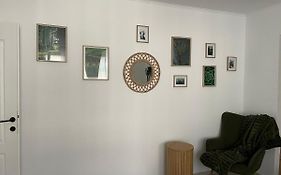 Carol Apartament'S