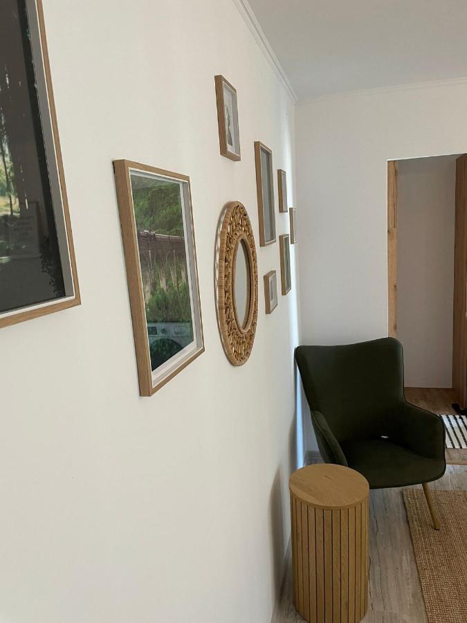 Carol Apartament'S Timişoara Exterior foto