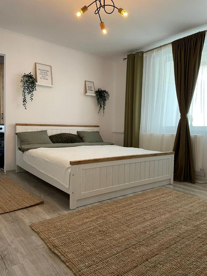 Carol Apartament'S Timişoara Exterior foto